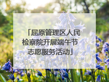 屈原管理区人民检察院开展端午节志愿服务活动