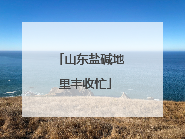 山东盐碱地里丰收忙