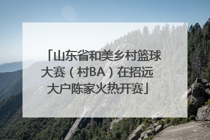 山东省和美乡村篮球大赛（村BA）在招远大户陈家火热开赛