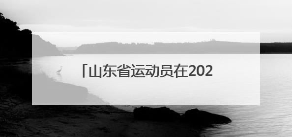 山东省运动员在2025年全国残疾人羽毛球锦标赛暨东京聋奥会选拔赛中斩获3银1铜