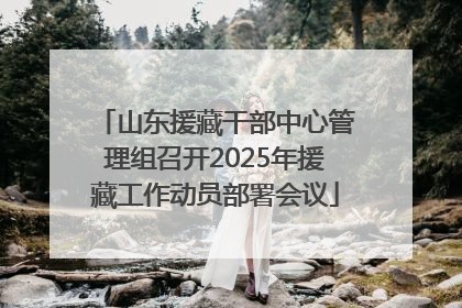 山东援藏干部中心管理组召开2025年援藏工作动员部署会议