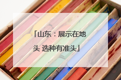 山东：展示在地头 选种有准头