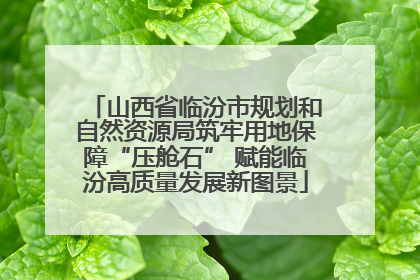 山西省临汾市规划和自然资源局筑牢用地保障“压舱石” 赋能临汾高质量发展新图景