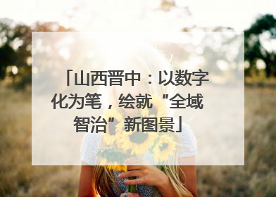 山西晋中：以数字化为笔，绘就“全域智治”新图景