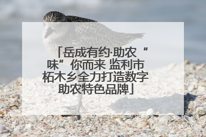 岳成有约·助农“味”你而来 监利市柘木乡全力打造数字助农特色品牌