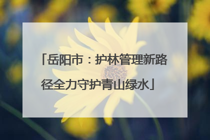 岳阳市：护林管理新路径全力守护青山绿水