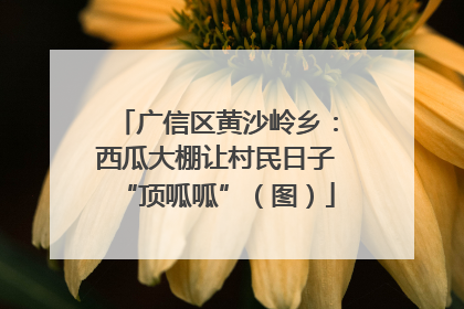 广信区黄沙岭乡：西瓜大棚让村民日子“顶呱呱”（图）