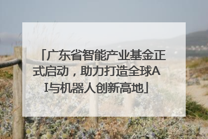 广东省智能产业基金正式启动，助力打造全球AI与机器人创新高地