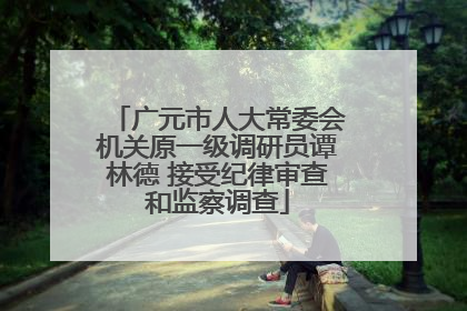 广元市人大常委会机关原一级调研员谭林德 接受纪律审查和监察调查