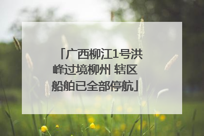 广西柳江1号洪峰过境柳州 辖区船舶已全部停航