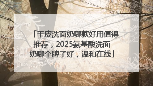 干皮洗面奶哪款好用值得推荐，2025氨基酸洗面奶哪个牌子好，温和在线