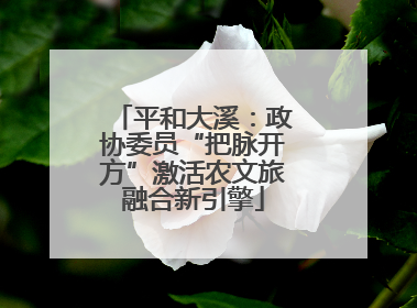 平和大溪：政协委员“把脉开方”激活农文旅融合新引擎