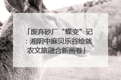 废弃砂厂“蝶变”记：湘阴中麻贝乐谷绘就农文旅融合新画卷