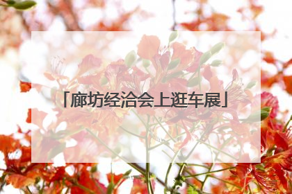 廊坊经洽会上逛车展