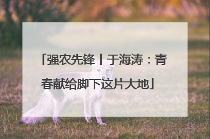 强农先锋丨于海涛：青春献给脚下这片大地