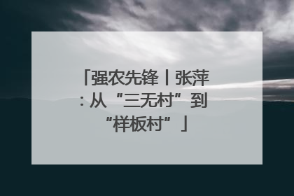强农先锋丨张萍：从“三无村”到“样板村”