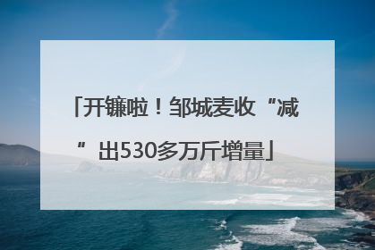 开镰啦！邹城麦收“减”出530多万斤增量
