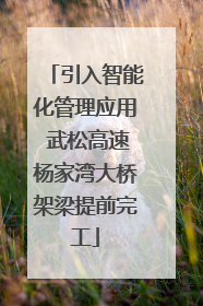 引入智能化管理应用 武松高速杨家湾大桥架梁提前完工