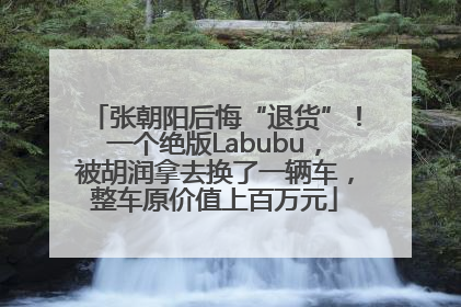 张朝阳后悔“退货”！一个绝版Labubu，被胡润拿去换了一辆车，整车原价值上百万元
