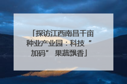 探访江西南昌千亩种业产业园：科技“加码” 果蔬飘香