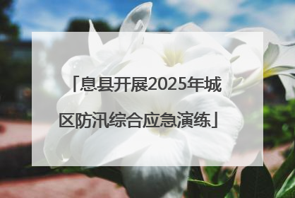 息县开展2025年城区防汛综合应急演练