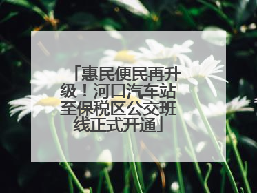 惠民便民再升级！河口汽车站至保税区公交班线正式开通