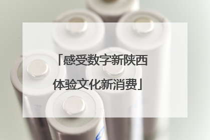 感受数字新陕西 体验文化新消费