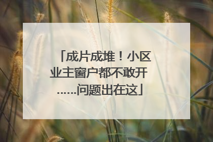 成片成堆！小区业主窗户都不敢开……问题出在这