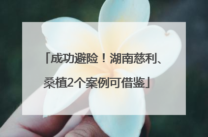 成功避险！湖南慈利、桑植2个案例可借鉴
