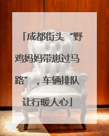 成都街头“野鸡妈妈带崽过马路”，车辆排队让行暖人心