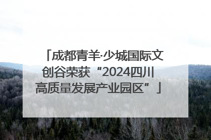 成都青羊·少城国际文创谷荣获“2024四川高质量发展产业园区”