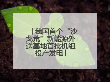 我国首个“沙戈荒”新能源外送基地首批机组投产发电