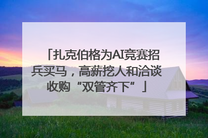 扎克伯格为AI竞赛招兵买马，高薪挖人和洽谈收购“双管齐下”