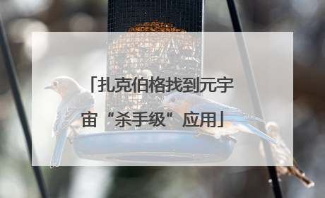 扎克伯格找到元宇宙“杀手级”应用