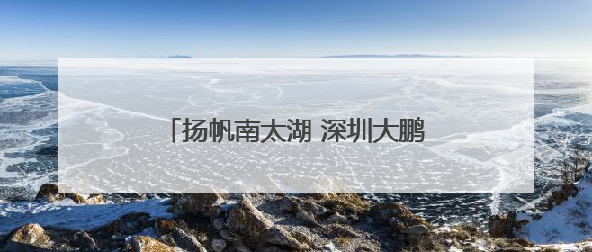 扬帆南太湖 深圳大鹏少年拿下4金1银2铜