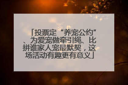 投票定“养宠公约”、为爱宠做牵引绳、比拼谁家人宠最默契，这场活动有趣更有意义