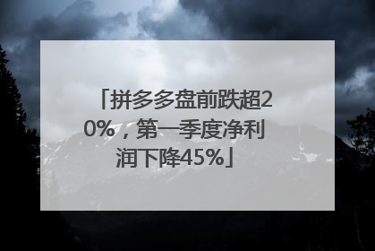 拼多多盘前跌超20%，第一季度净利润下降45%