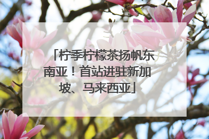 柠季柠檬茶扬帆东南亚！首站进驻新加坡、马来西亚