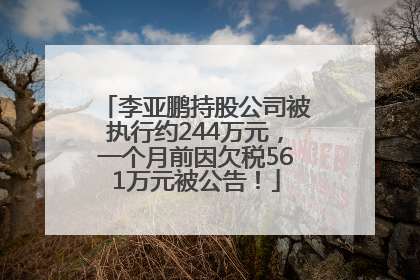李亚鹏持股公司被执行约244万元，一个月前因欠税561万元被公告！