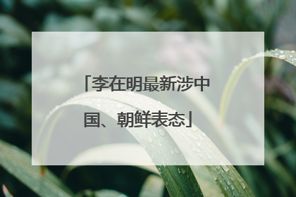 李在明最新涉中国、朝鲜表态