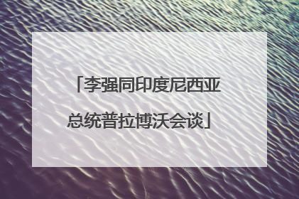 李强同印度尼西亚总统普拉博沃会谈