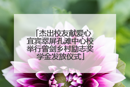 杰出校友献爱心 宜宾翠屏孔滩中心校举行曾剑乡村励志奖学金发放仪式