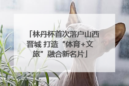 林丹杯首次落户山西晋城 打造“体育+文旅”融合新名片