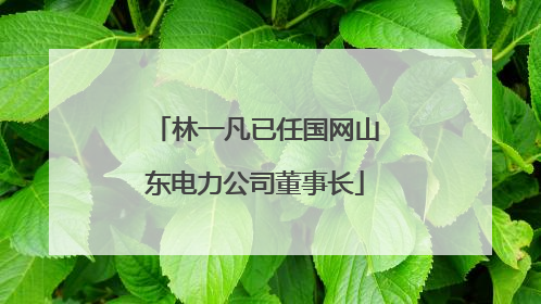 林一凡已任国网山东电力公司董事长