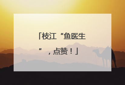 枝江“鱼医生”，点赞！