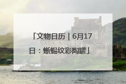 文物日历｜6月17日：蜥蜴纹彩陶罐
