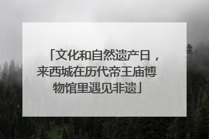文化和自然遗产日，来西城在历代帝王庙博物馆里遇见非遗