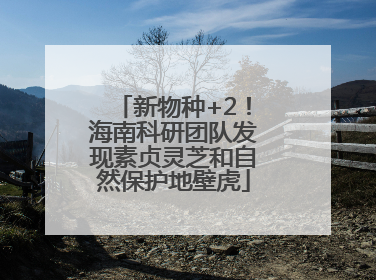 新物种+2！海南科研团队发现素贞灵芝和自然保护地壁虎