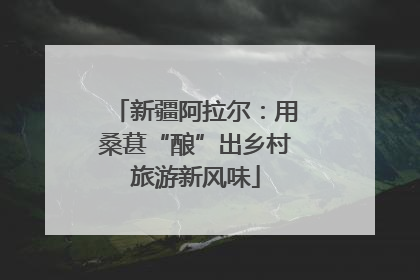 新疆阿拉尔：用桑葚“酿”出乡村旅游新风味