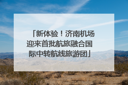新体验！济南机场迎来首批航旅融合国际中转航线旅游团